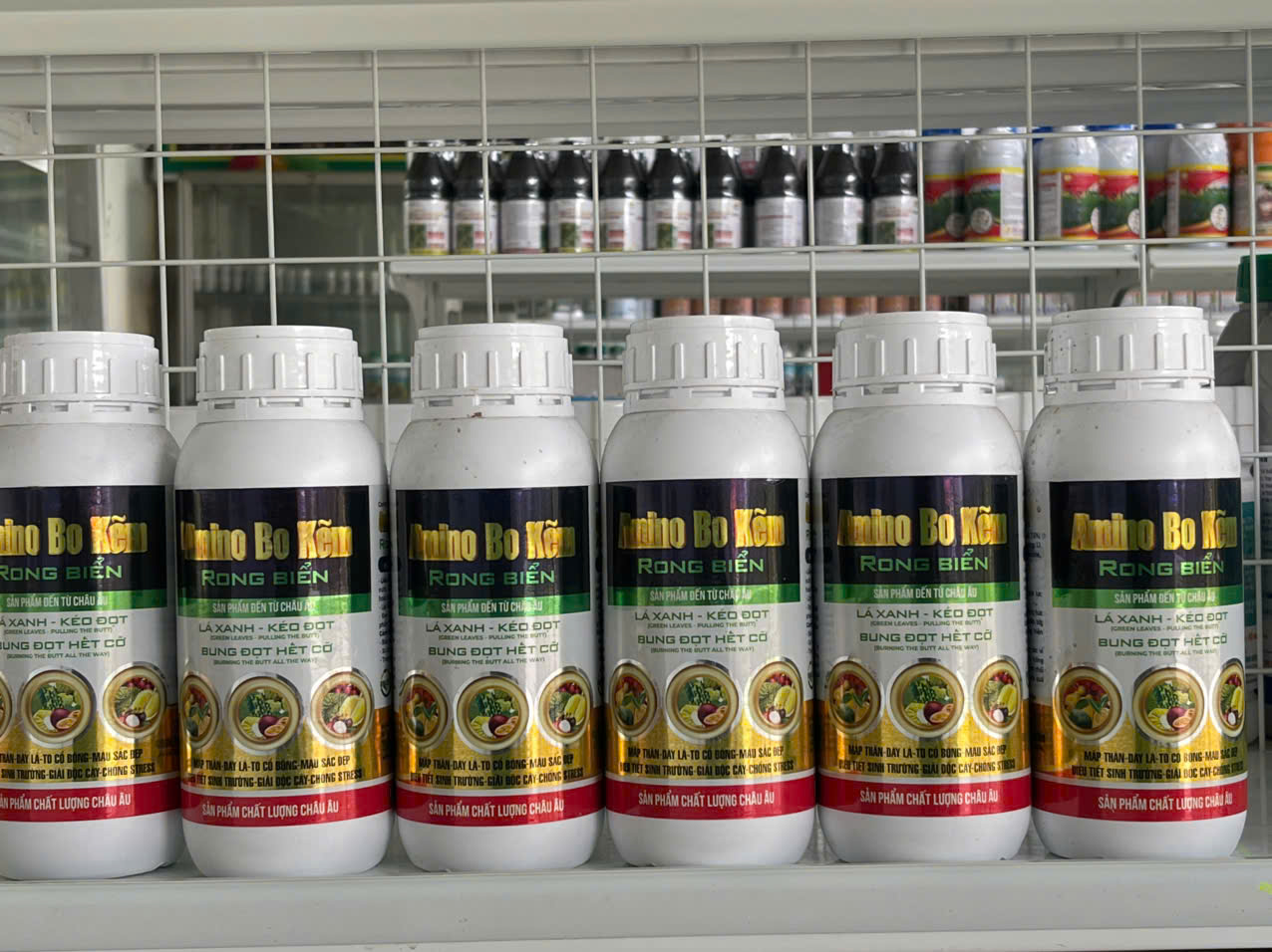 Amino Bo Kẽm Rong Biển (Dưỡng lá xanh dày, hỗ trợ kéo đọt, mập thân, bung đọt đồng loạt và đẻ nhánh khỏe)
