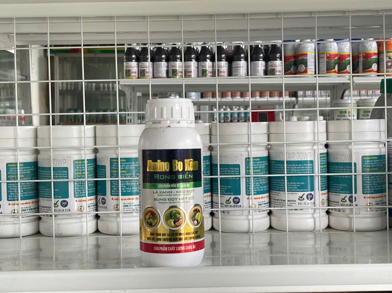 Amino Bo Kẽm Rong Biển (Dưỡng lá xanh dày, hỗ trợ kéo đọt, mập thân, bung đọt đồng loạt và đẻ nhánh khỏe)