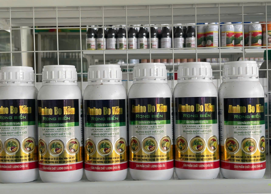 Amino Bo Kẽm Rong Biển (Dưỡng lá xanh dày, hỗ trợ kéo đọt, mập thân, bung đọt đồng loạt và đẻ nhánh khỏe)