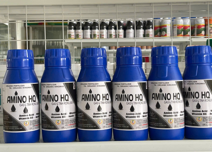 AMINO HQ (Hạn chế tình trạng rụng hoa, rụng trái non, hỗ trợ trái lớn đều và lên màu đẹp tự nhiên)