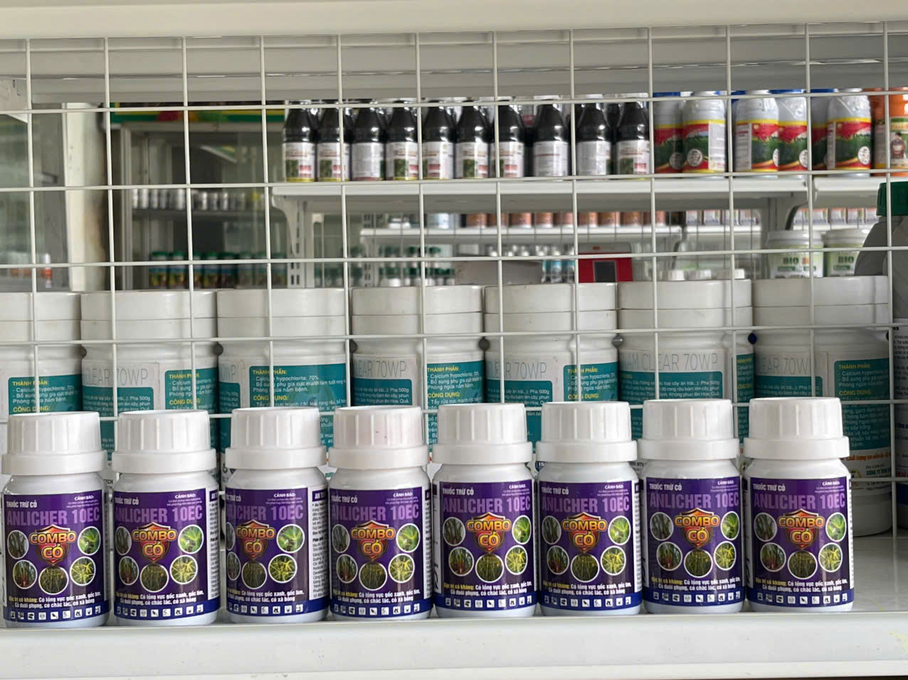 ANLICHER 10EC (Combo Cỏ). đặc trị cỏ lồng vực, đuôi phung, chác lác