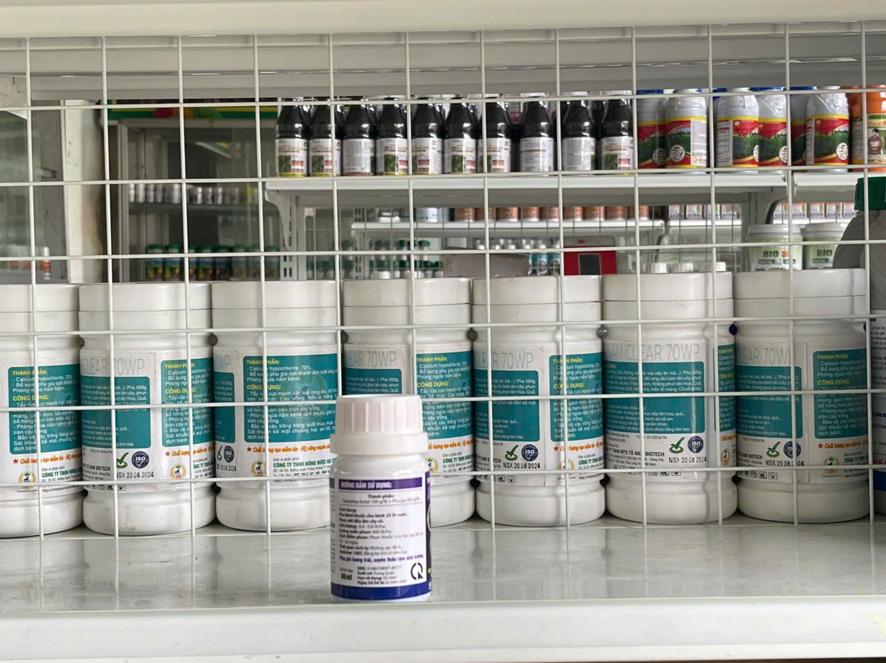 ANLICHER 10EC (Combo Cỏ). đặc trị cỏ lồng vực, đuôi phung, chác lác