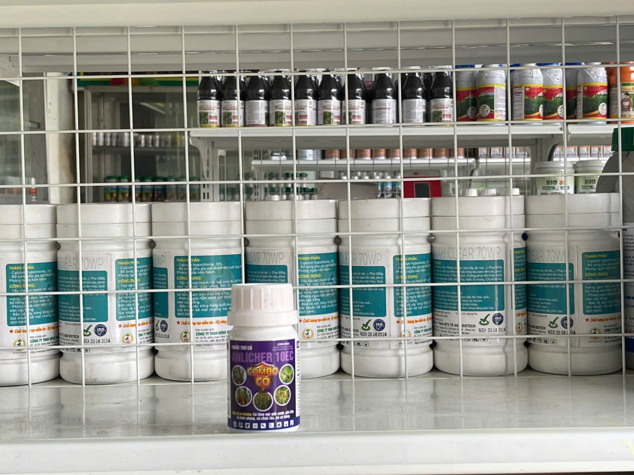 ANLICHER 10EC (Combo Cỏ). đặc trị cỏ lồng vực, đuôi phung, chác lác