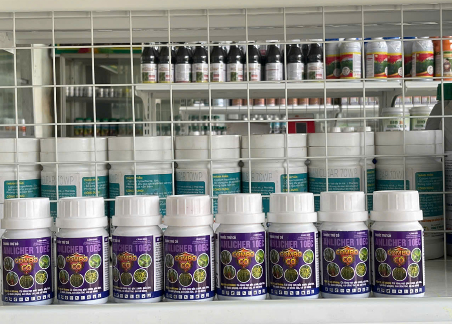 ANLICHER 10EC (Combo Cỏ). đặc trị cỏ lồng vực, đuôi phung, chác lác