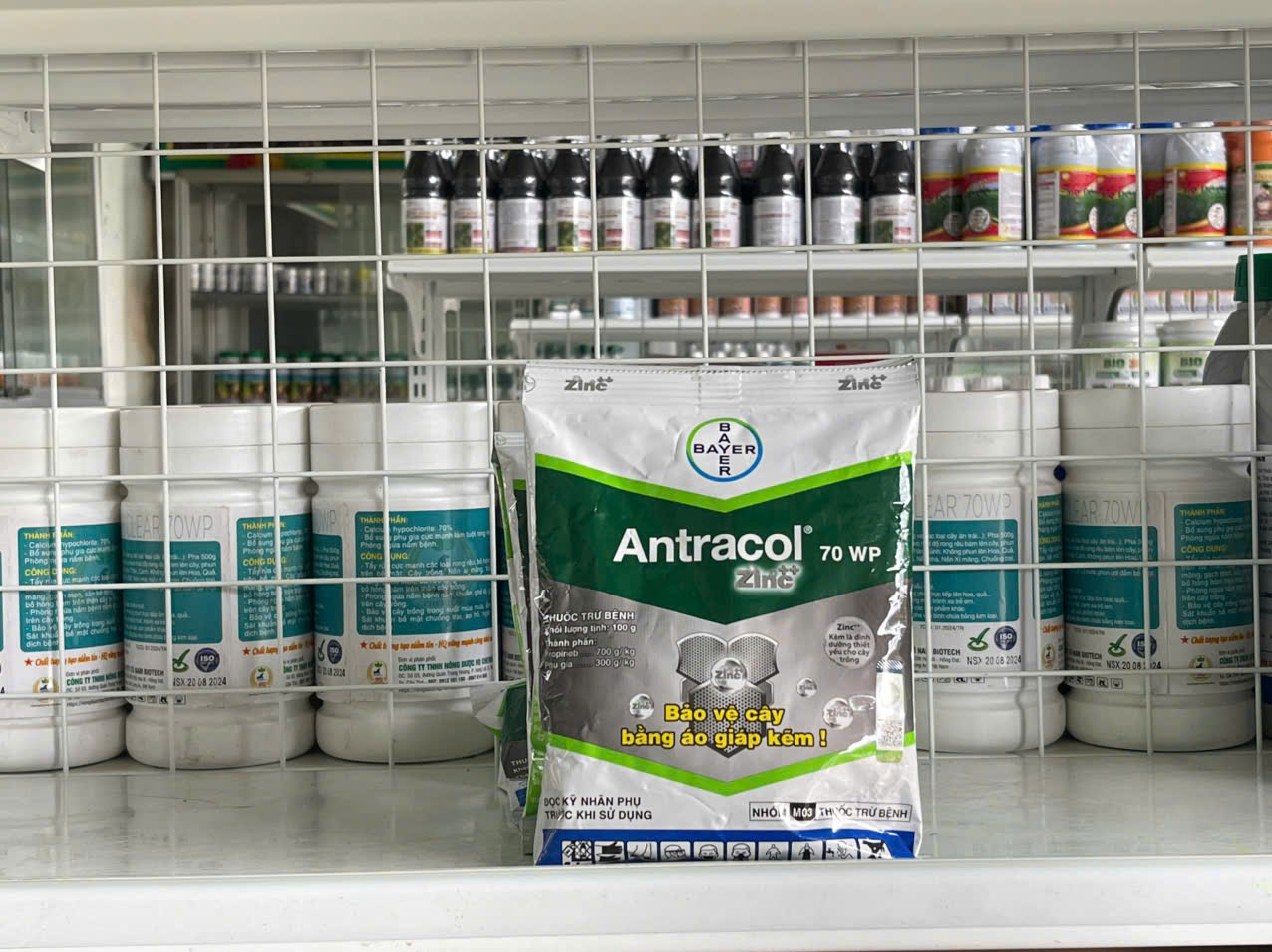 Antracol 70WP