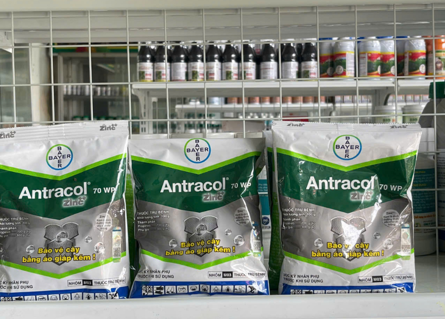 Antracol 70WP