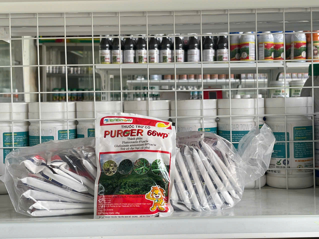 PURGER 66WP Đặc trị cỏ tranh, cỏ mần trầu