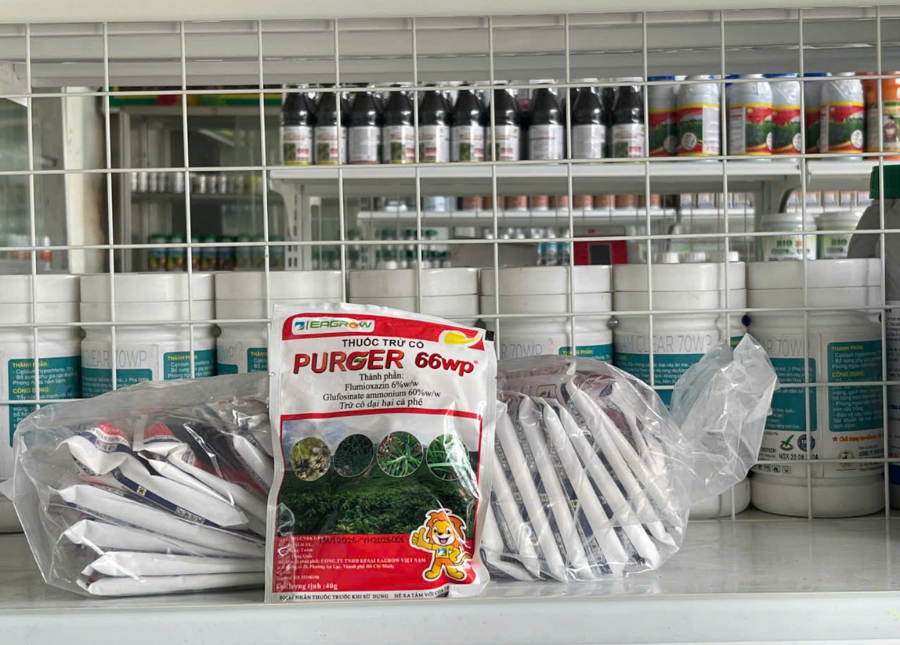 PURGER 66WP Đặc trị cỏ tranh, cỏ mần trầu