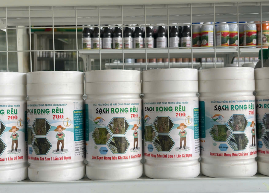 SẠCH RONG RÊU 700