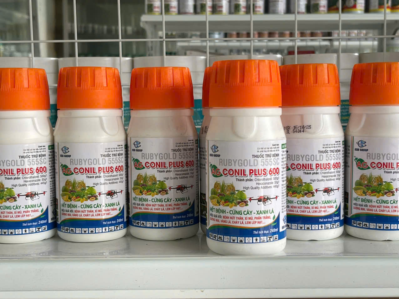 Thuốc trừ bệnh RUBYGOLD 555SC - AG CONIL PLUS 600