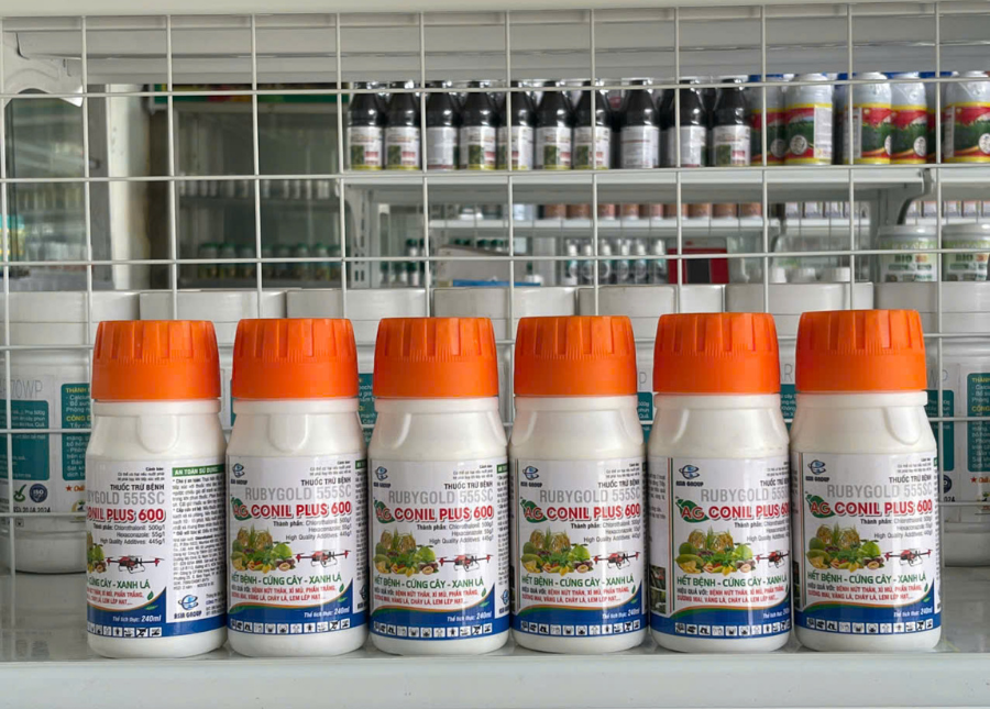 Thuốc trừ bệnh RUBYGOLD 555SC - AG CONIL PLUS 600